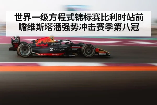 Max Verstappen racing